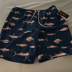 Men Bathing Suit size Lare